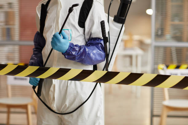 Professional Sewage Cleanup technician working in Seaford, NY
